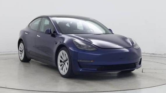 TESLA MODEL 3 2023 5YJ3E1EA7PF458555 image